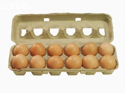 Carton of Eggs