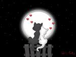 kittys