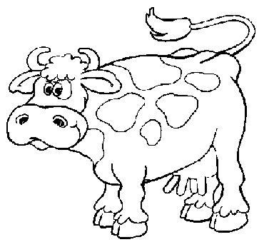 cow thats about to fart