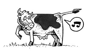 cow that has farted