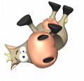 rolly polly cow