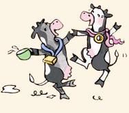 danceing cows