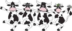 can-canning cows