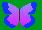 un papillon