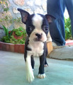 Good Things Come In Small Packages