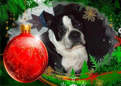 Merry Christmas!