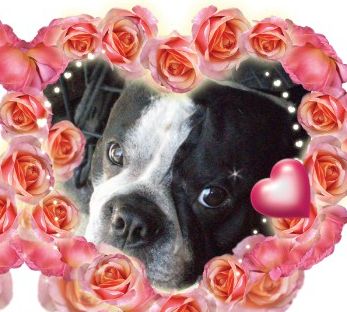 Happy Valentine's Day!