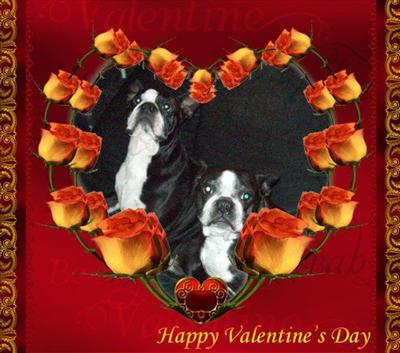 Happy Valentine's Day!