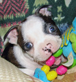 I Wuv You!