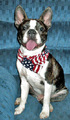 Happy July 4th