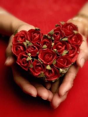 amour