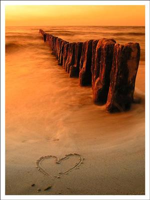 amour