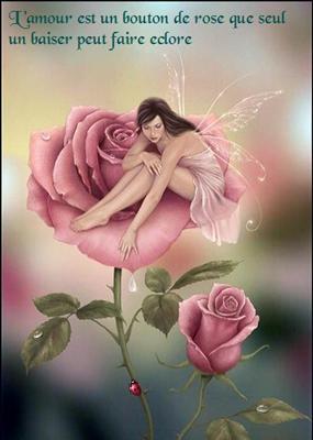 rose