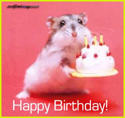 Birthday Hamster