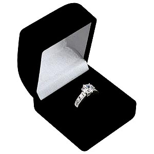 The proposal box