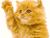 Cat Wave