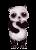 Panda Dance