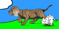 Dog & Cat
