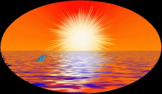 Dolphin Sunset