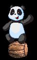 Panda Run