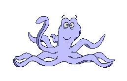 Octopus