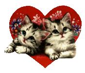Cat Love