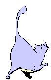 Funny Cat