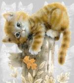 Cat On Tree