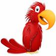 Red Parrot