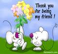 Thank you my Friend