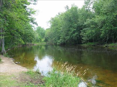 A perfect fishing spot