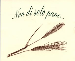Non di solo pane vivrà l`uomo, ma di ogni parola che esce dalla bocca di Dio. (Mt 4,4)
