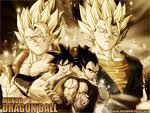 GOGETA Y VEGITTO