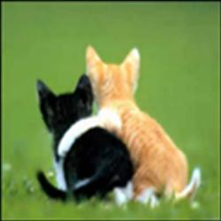 together