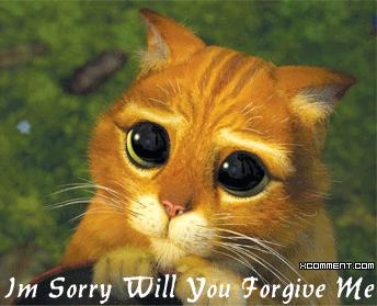 I'm Sorry