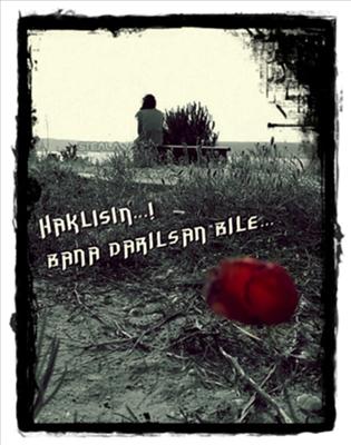 Haklısın