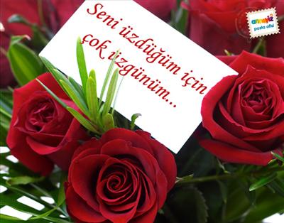 Özür dilerim