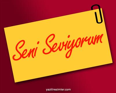 Seni Seviyorum