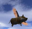 Marrano volador