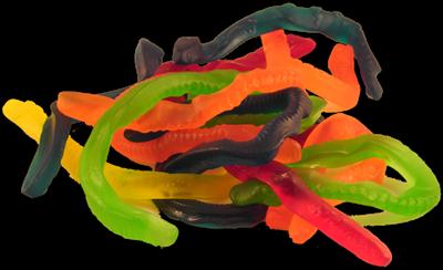 snakes