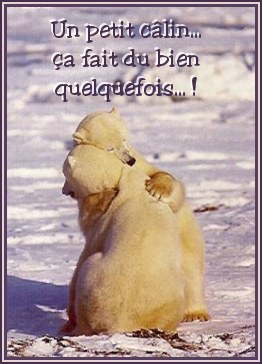calins