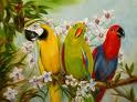 Parrot 15