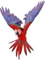 Parrot 17