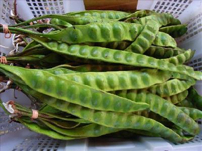 Ikat Petai