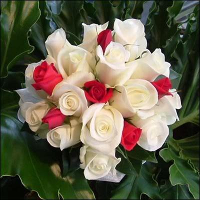 WHITE & RED (Unity)