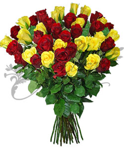 RED & YELLOW (excitment)