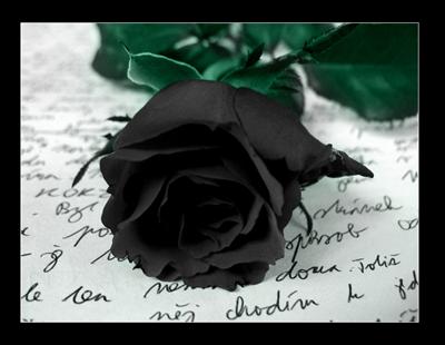 BLACK (Farewell)