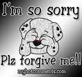 Sorry message 