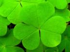 lucky