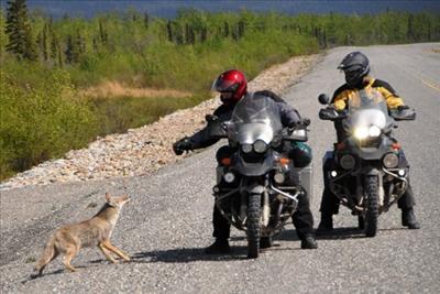 A Motorcycle